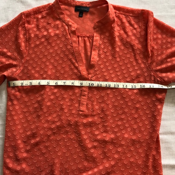 The Limited sheer blouse medium - Picture 2 of 7